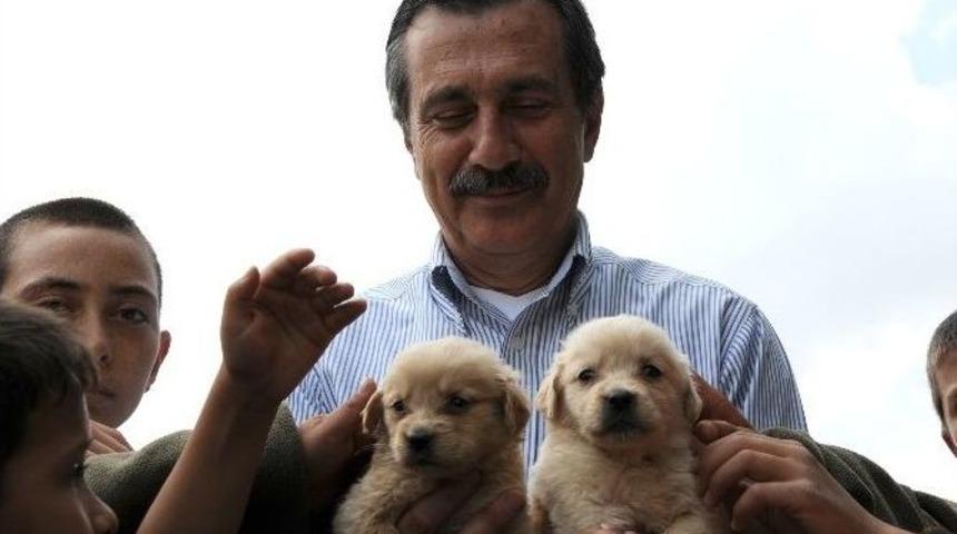 Başkan Ata&ccedil;&rsquo;ın 4 Ekim D&uuml;nya Hayvan Hakları G&uuml;n&uuml; Mesajı