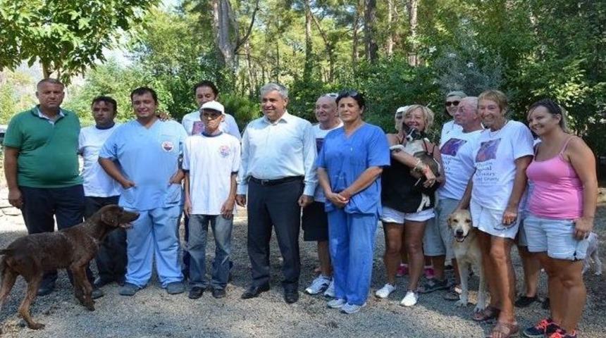 Haydos Bakım Evinde Hayvanları Koruma G&uuml;n&uuml; Kutlandı