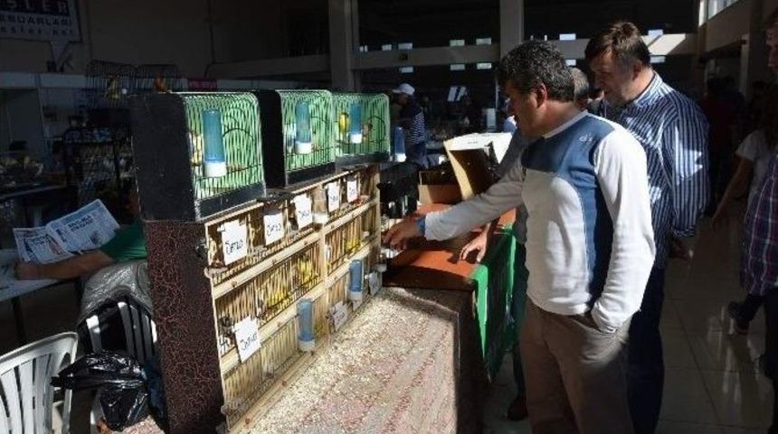Kanarya Sevenler Bu Fuarda Buluştu