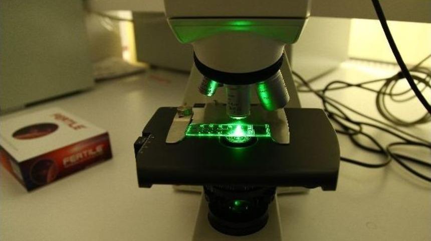 Bu &Ccedil;ipler, Sağlıklı Spermi 12&rsquo;den Vuruyor