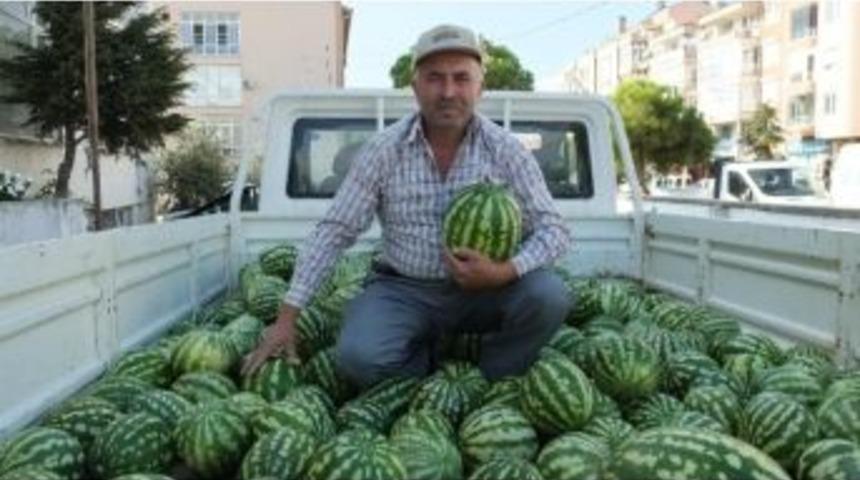 G&uuml;z Karpuzu Y&uuml;z G&uuml;ld&uuml;rd&uuml;