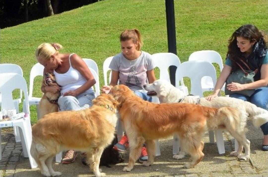 Hayvanlar G&uuml;n&uuml;&rsquo;nde Anlamlı Etkinlik