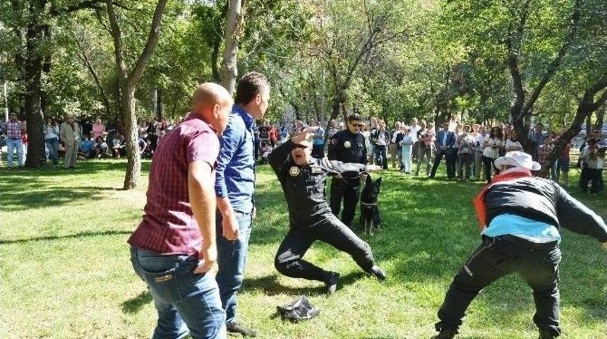 D&uuml;nya Hayvan Hakları Koruma G&uuml;n&uuml; Etkinliği