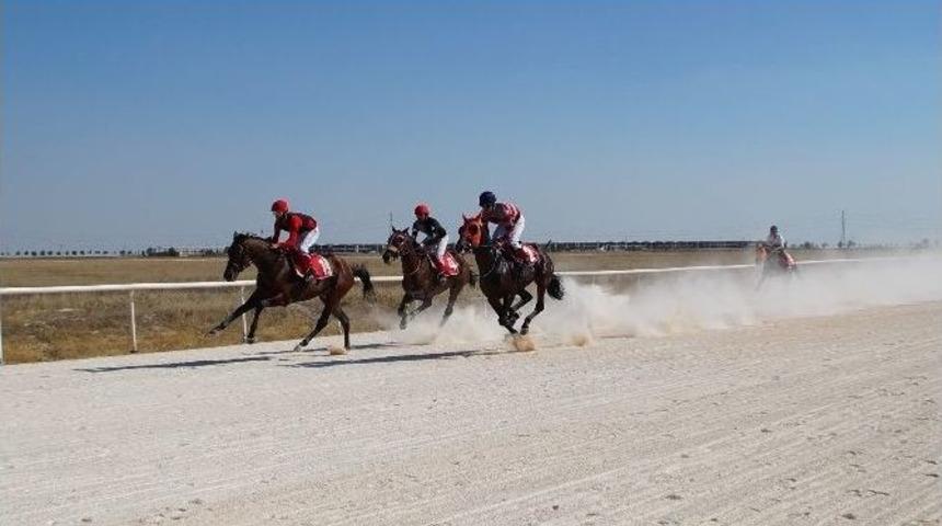 Konya&rsquo;da Mahalli At Yarışları Yapıldı