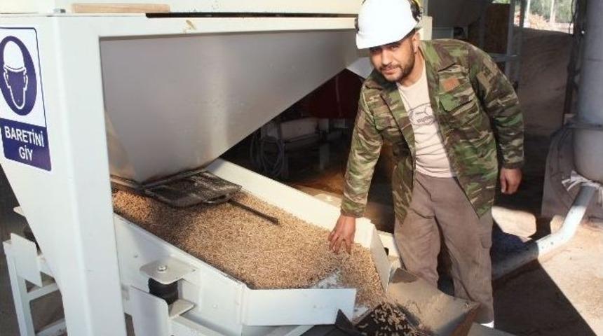 Fosil Yakıta Alternatif Biok&uuml;tle Yakıt