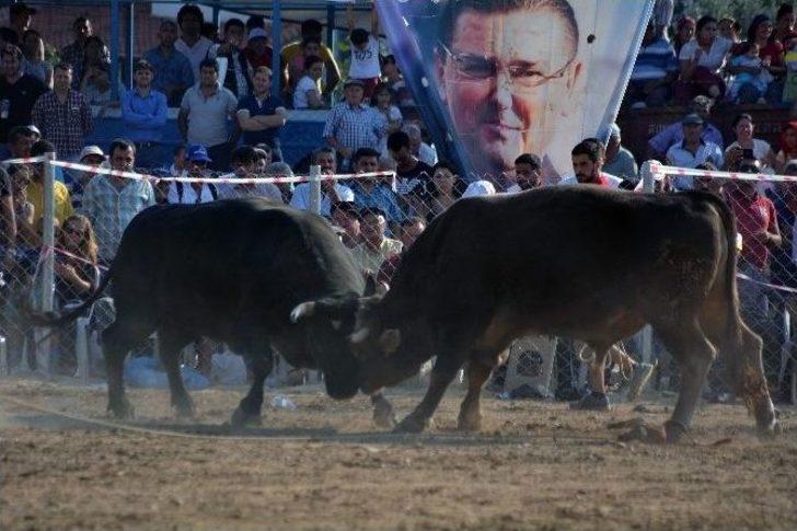 Ören Arenasında Boğalan Spor Kulübü İçin Güreşti G4
