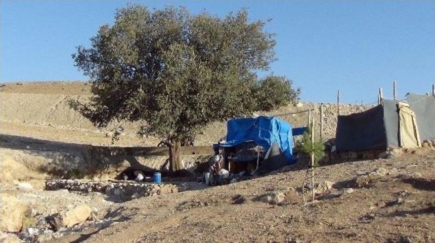 Tek Başına İlkel Yaşam