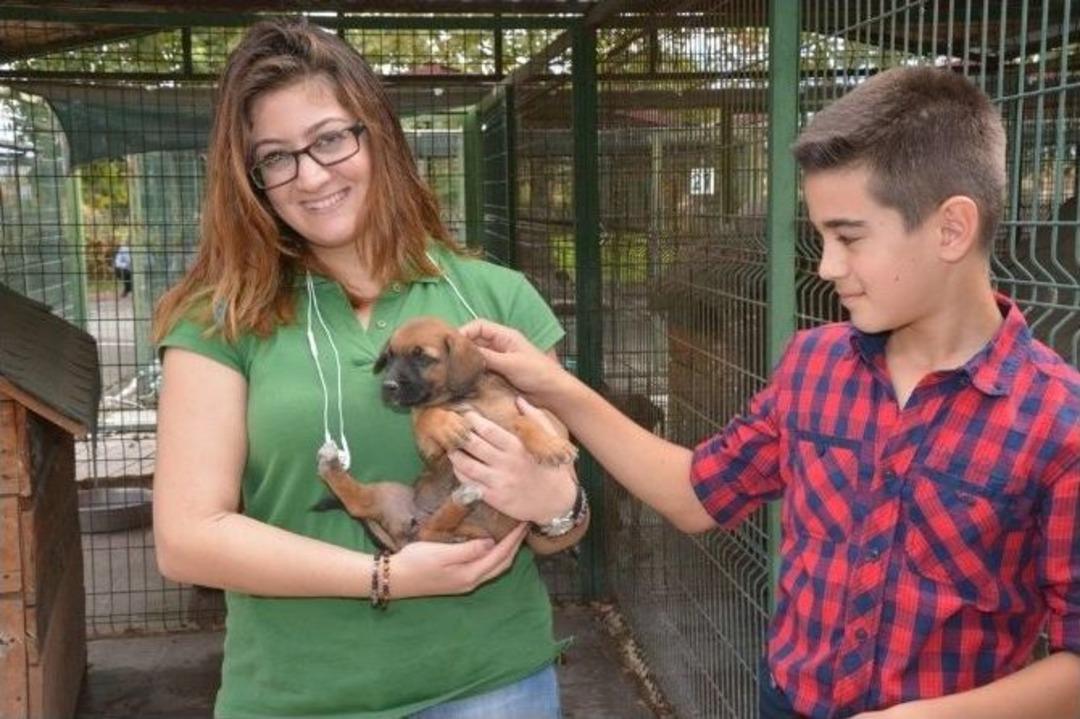 4 Ekim D&uuml;nya Hayvanları Koruma G&uuml;n&uuml; Etkinliği