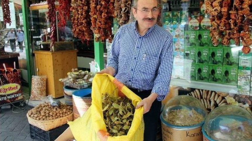 Aktarcıların Umudu &ldquo;ithal Ihlamur&rdquo;