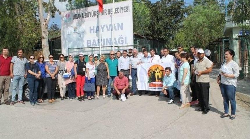 Hayvanseverler, Hayvan Barınağını Ziyaret Etti
