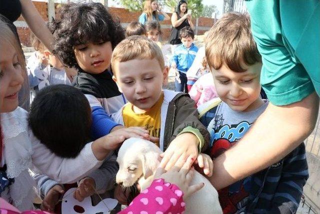 Büyükşehir’in Miniklerinden Sevimli Dostlara Ziyaret