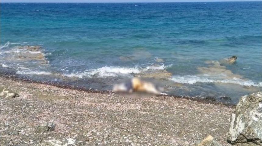 Jandarma Dat&ccedil;a Sahilinde Ceset Arıyor