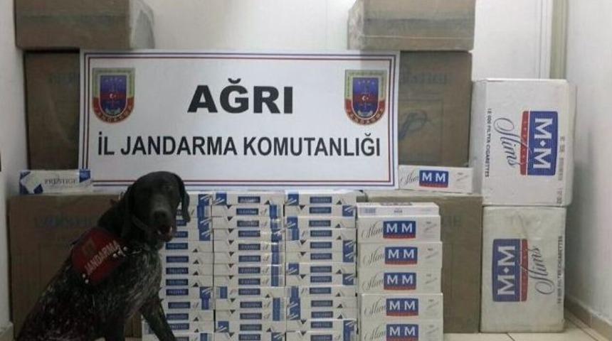 Ağrı&rsquo;da 31 Bin Paket Ka&ccedil;ak Sigara Ele Ge&ccedil;irildi