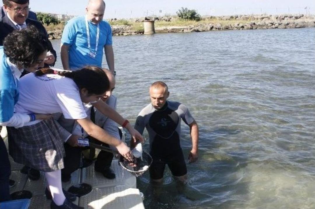 &lsquo;denizimi Tanıyorum Ve Koruyorum&rsquo; Projesi