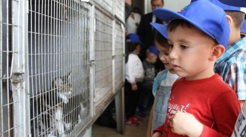 Denizli&rsquo;de D&uuml;nya Hayvanları Koruma G&uuml;n&uuml; Kutlandı