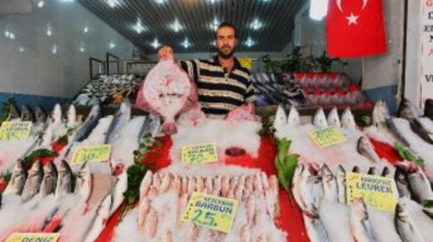 Bu Sezonda Balık Az