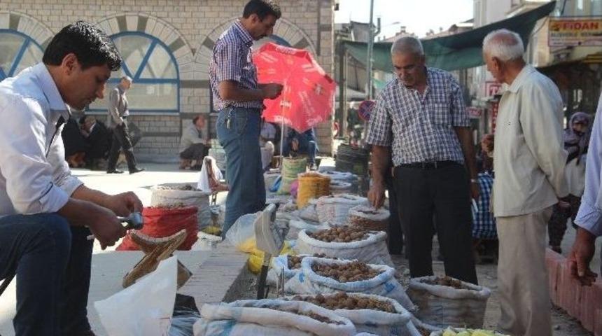 Ceviz, &Uuml;reticisinin Y&uuml;z&uuml;n&uuml; G&uuml;ld&uuml;rd&uuml;