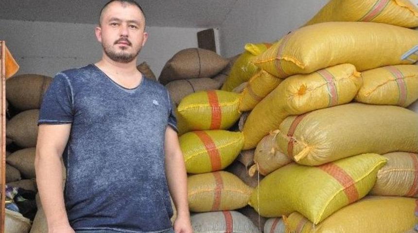 Fındığın Fiyatının Düşük Olmasının Sebebi “emanete Verilen Fındık”