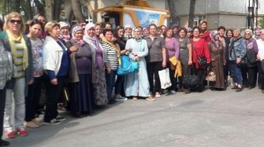 Haydi Kadınlar Geziye