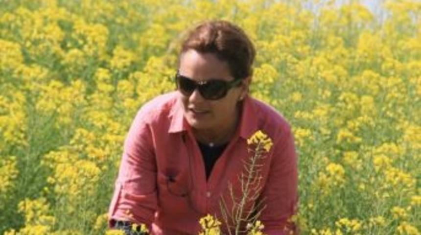 Soyada Tedirgin Hasat