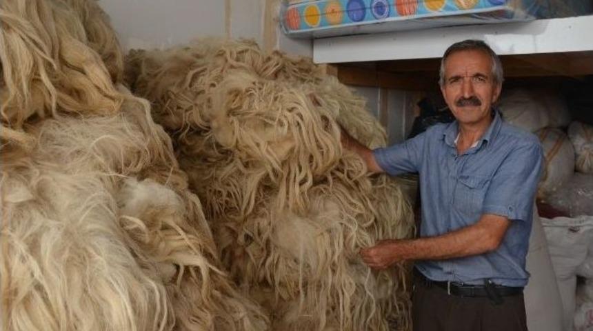 Y&uuml;nc&uuml;ler Sezonu A&ccedil;tı