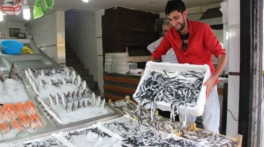 Yerli Hamsi Tezgahlarda