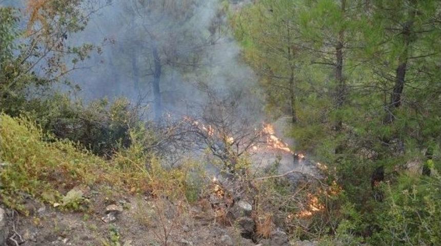 Niksar&rsquo;da Ormanlık Alanda Yangın