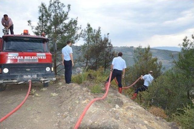 Niksar’da Ormanlık Alanda Yangın