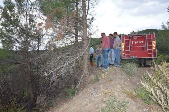 Niksar’da Ormanlık Alanda Yangın