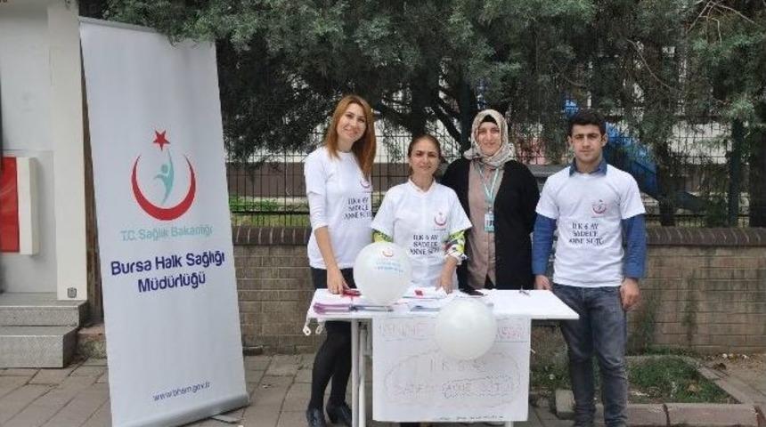 Anne S&uuml;t&uuml; Hazine