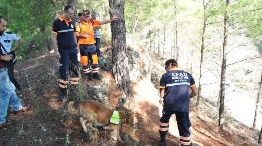 Norve&ccedil;li Turisti Arama &Ccedil;alışmalarına Afad Ekipleri De Katıldı