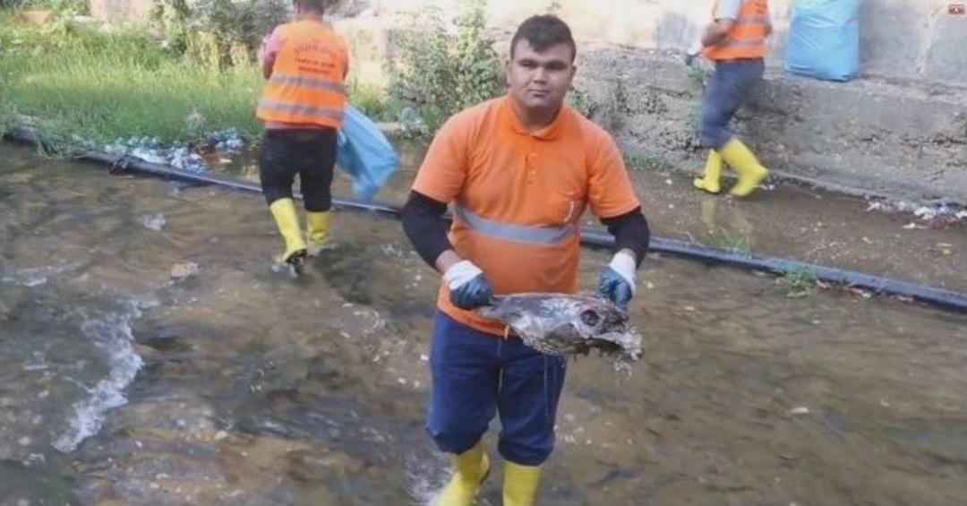 Efeler&rsquo;deki Derenin Temizliğinde Kelle Bulundu