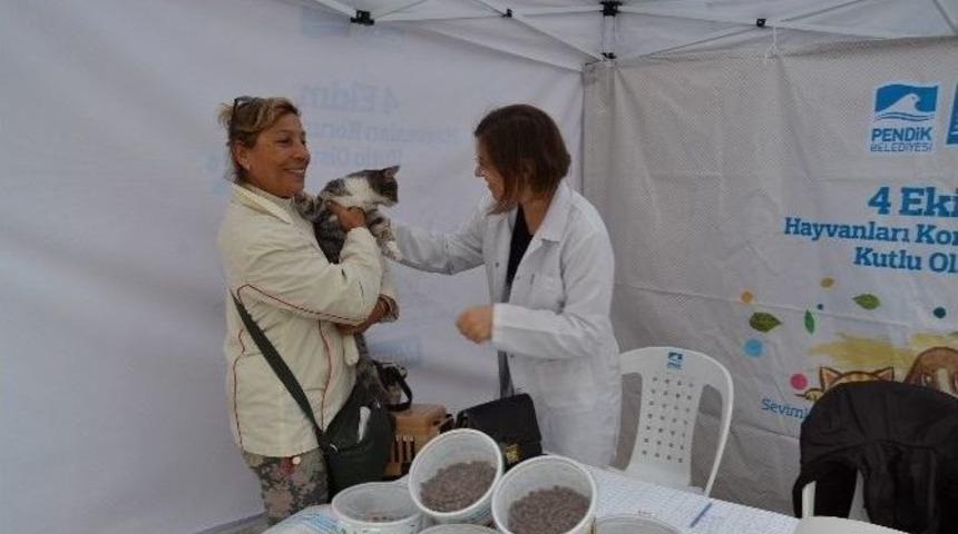 Pendik Belediyesi&rsquo;nden Evcil Hayvanını Getirene &Uuml;cretsiz Aşı