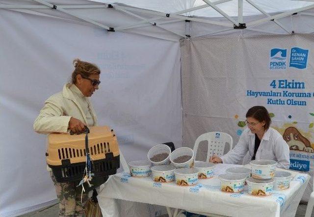 Pendik Belediyesi’nden Evcil Hayvanını Getirene Ücretsiz Aşı