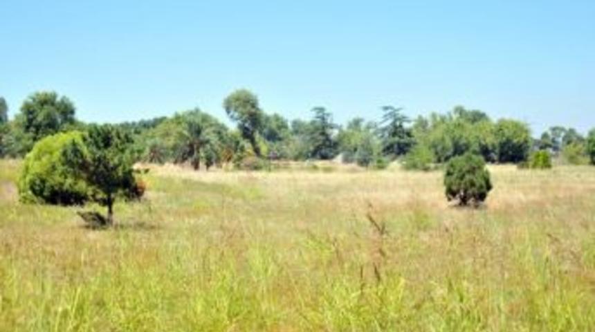 Arboretum&rsquo;un Konut Alanına D&ouml;n&uuml;şt&uuml;r&uuml;lmesine İtiraz Yağıyor