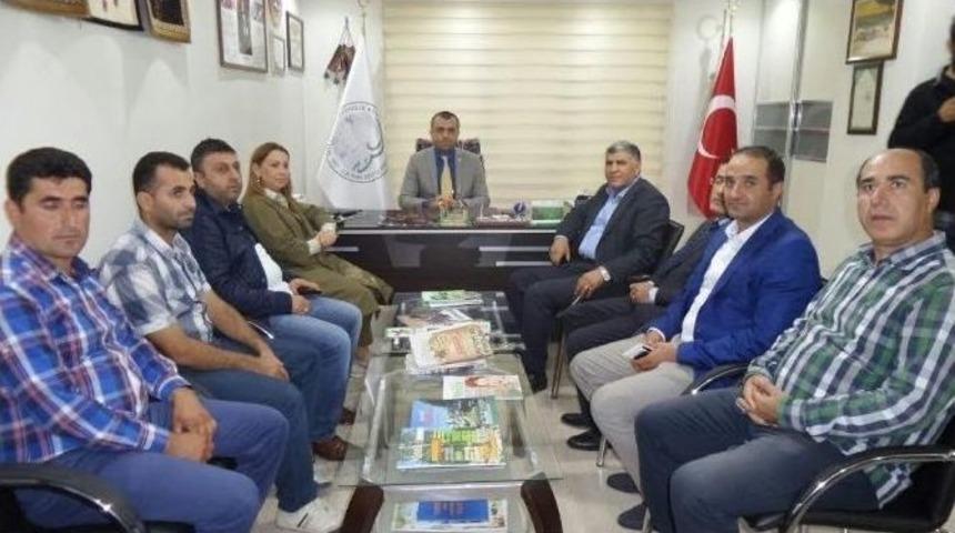 &Ouml;znur &Ccedil;alık, Esnafları Ziyaret Etti