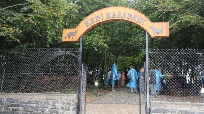 Samsun&rsquo;da "hayvanlar G&uuml;n&uuml;" Kutlaması