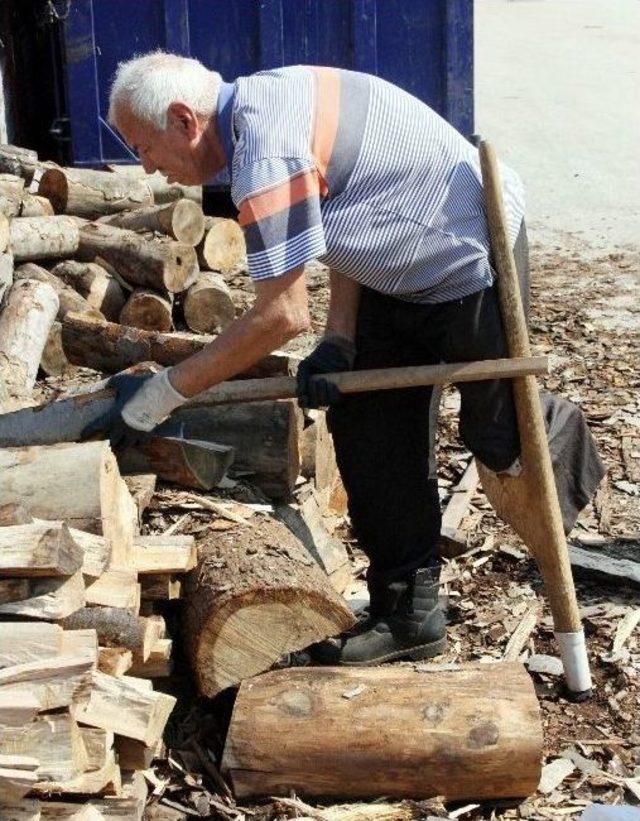 (özel Haber) 78 Yaşında Tek Bacağı Yok Ama Hala Odun Kırıyor