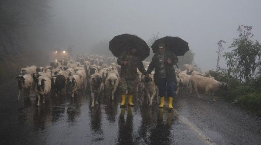 Yaylacıların Geriye D&ouml;n&uuml;şleri Başladı
