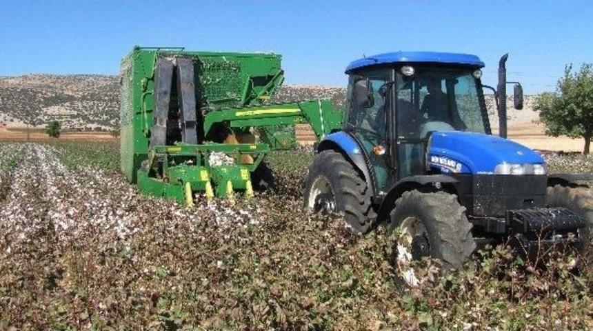 Araban Ovası&rsquo;nda Pamuk Toplama Fiyatı Belirlendi