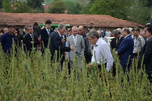 Ortaca’da Susam Tarla Günü Düzenlendi