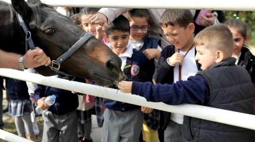 Har&ccedil;lıklarıyla S&uuml;t Alıp Can Dostlarını Beslediler