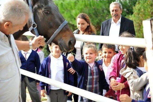 Harçlıklarıyla Süt Alıp Can Dostlarını Beslediler