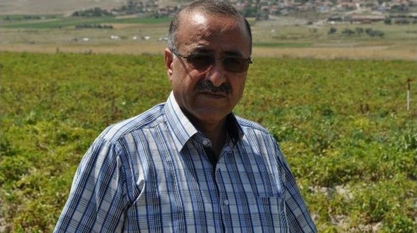 Ge&ccedil;tiğimiz Yıl Kilosu 4 Liraya Kadar &Ccedil;ıkan Patatesi &Uuml;retici 65 Kuruş&rsquo;a Satıyor