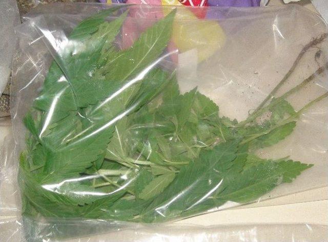 Gaziosmanpaşa’daki Narkotik Operasyonu Polis Kamerasında 1