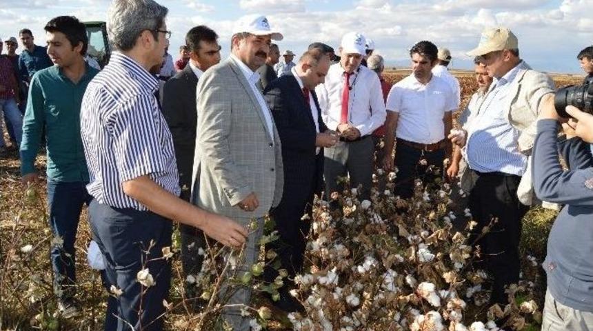 Besni&rsquo;de Tarla G&uuml;nleri Etkinliği D&uuml;zenlendi