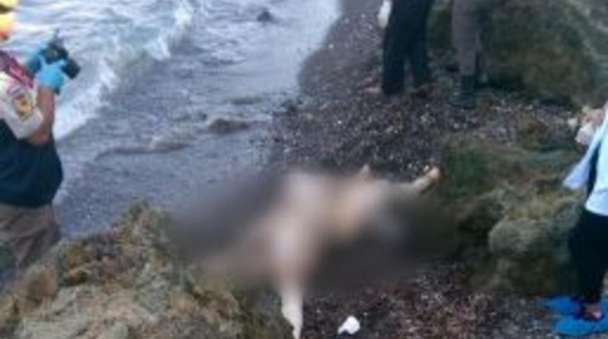 (&ouml;zel Haber) Dat&ccedil;a Sahiline Kayıp M&uuml;ltecilerin Cesetleri Vuruyor