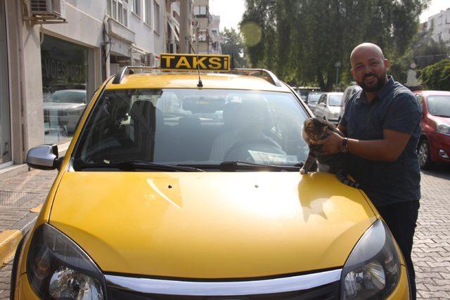 Hayvan dostu taksiciler