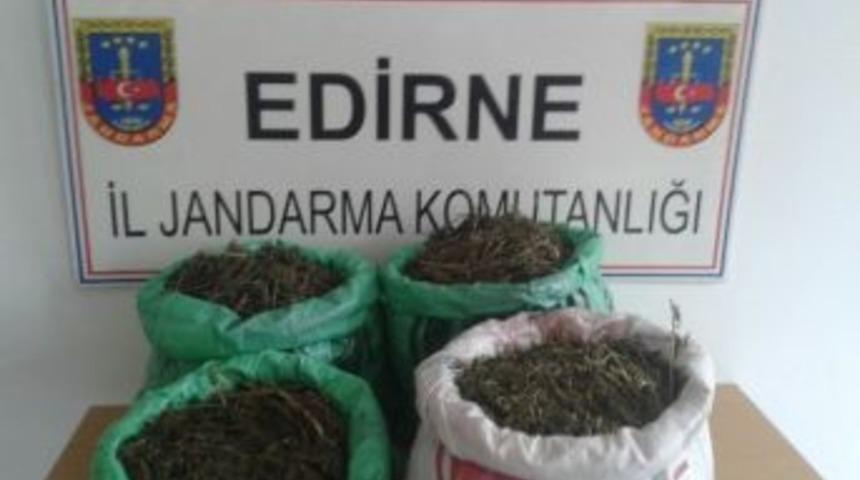 Edirne&rsquo;de 16,5 Kilogram Kubar Esrar Yakalandı
