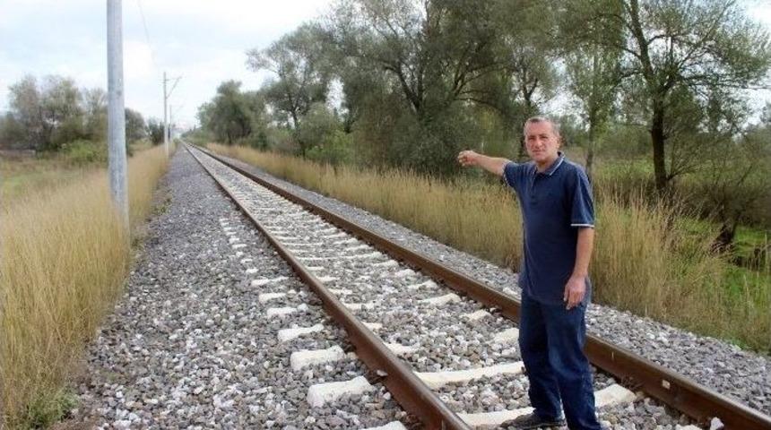 K&ouml;pek &Ouml;l&uuml;mlerinin Sebebi Merak Ediliyor